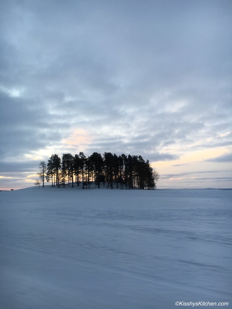 faviken beautiful nature